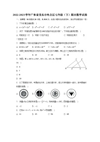 2022-2023学年广东省茂名市电白区七年级（下）期末数学试卷（含解析）