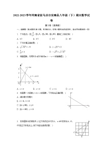 2022-2023学年河南省驻马店市汝南县八年级（下）期末数学试卷（含解析）