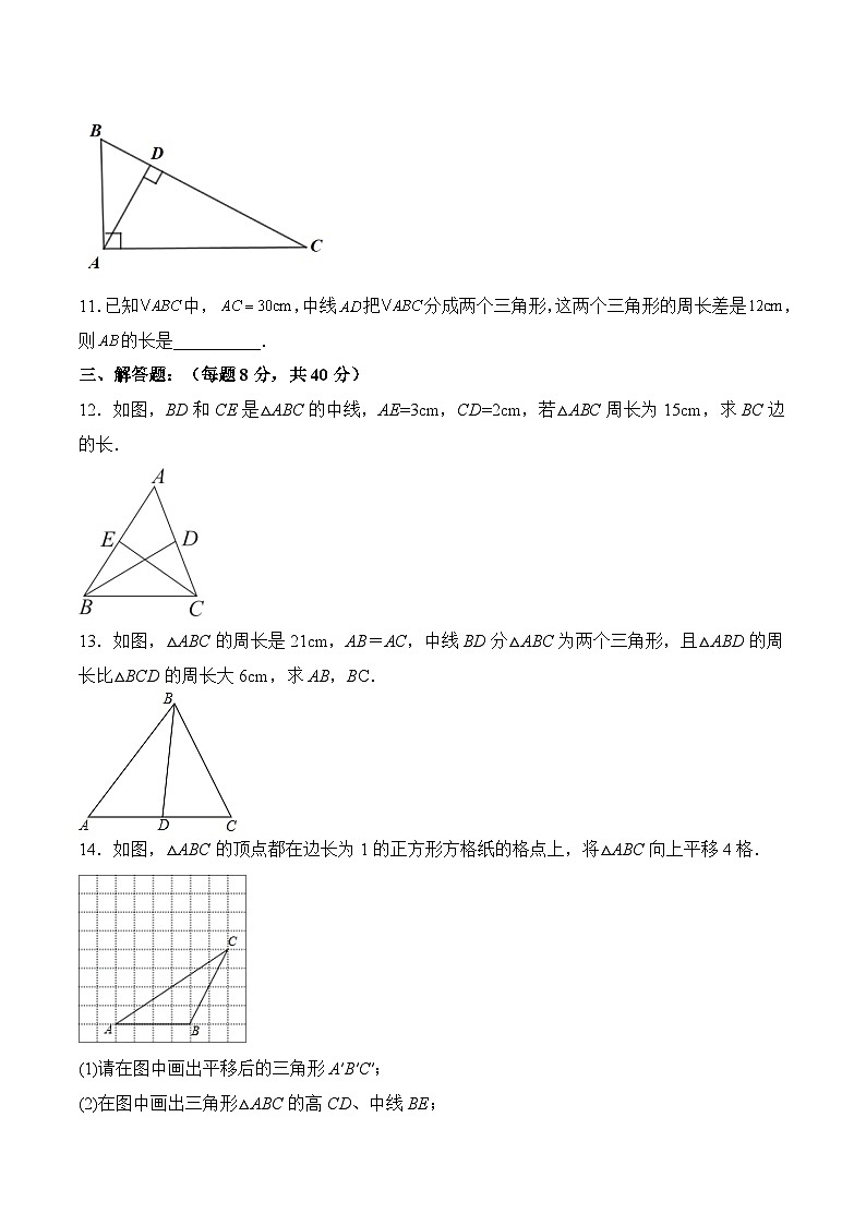 人教版初中数学八年级 第十一章 11.1.2 三角形的高、中线与角平分线（分层作业）第3页