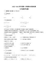 河北省秦皇岛市昌黎县2022-2023学年七年级上学期期末数学试题（含答案）