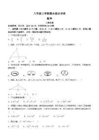 河北省邢台市南宫市2022-2023学年八年级上学期期末数学试题（含答案）