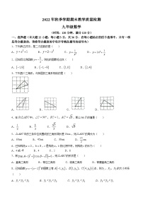 广西壮族自治区贺州市昭平县2022-2023学年九年级上学期期末数学试题（含答案）