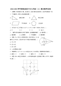 2022-2023学年青海省西宁市九年级（上）期末数学试卷（含解析）