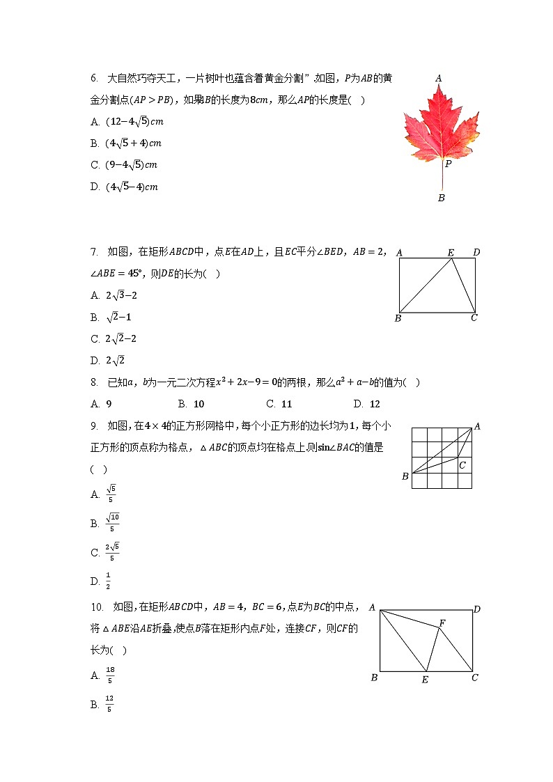 2022-2023学年山东省泰安市宁阳县八年级（下）期末数学试卷（五四学制）（含解析）02