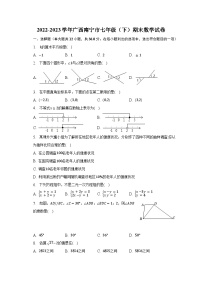 2022-2023学年广西南宁市七年级（下）期末数学试卷（含解析）