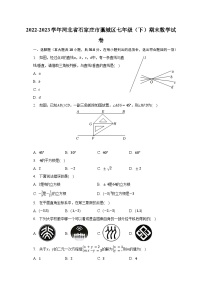 2022-2023学年河北省石家庄市藁城区七年级（下）期末数学试卷（含解析）