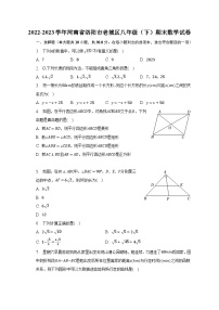 2022-2023学年河南省洛阳市老城区八年级（下）期末数学试卷（含解析）