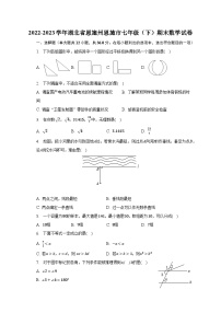 2022-2023学年湖北省恩施州恩施市七年级（下）期末数学试卷（含解析）