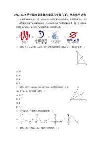 2022-2023学年湖南省常德市澧县八年级（下）期末数学试卷（含解析）