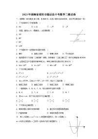 2023年湖南省邵阳市隆回县中考数学二模试卷（含解析）