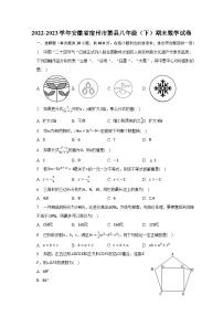 2022-2023学年安徽省宿州市萧县八年级（下）期末数学试卷（含解析）