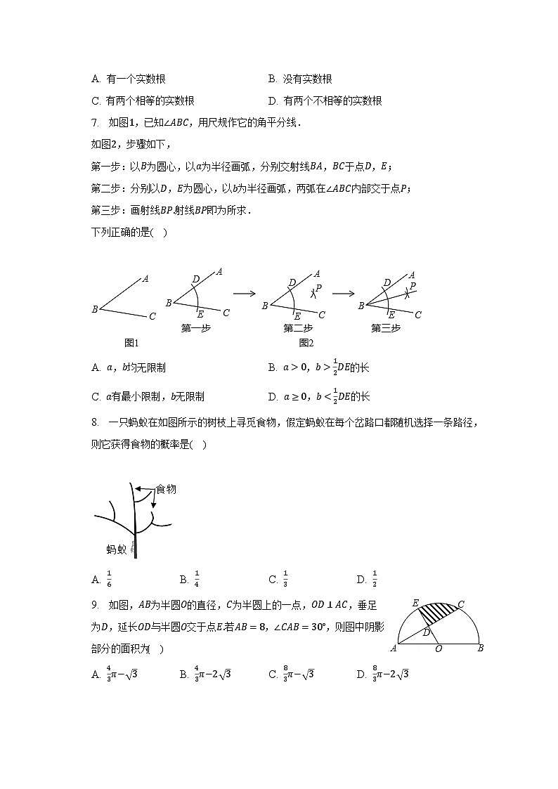 2023年河南省周口市西华县中考数学三模试卷（含解析）第2页