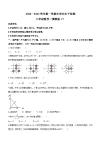 河北省承德市承德县2022-2023学年八年级上学期期末数学试题（含答案）