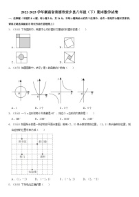 湖南省常德市安乡县2022-2023学年八年级下学期期末数学试卷（含答案）