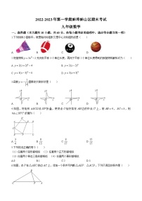 安徽省蚌埠市蚌山区2022-2023学年九年级上学期期末数学试题（含答案）