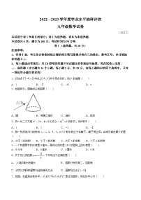 河北省唐山市路南区2022-2023学年九年级上学期期末数学试题（含答案）