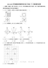 湖南省常德市安乡县2022-2023学年八年级下学期期末数学试卷（含答案）