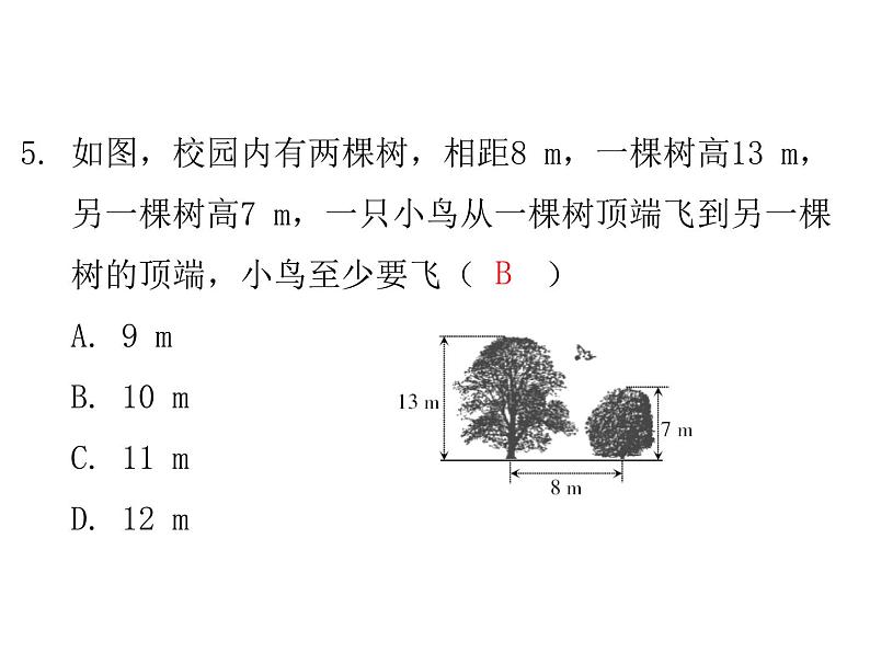 第一章勾股定理单元复习-(北师大)课件PPT第6页