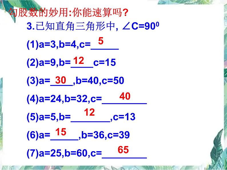 第一章勾股定理复习课件-(北师大)07