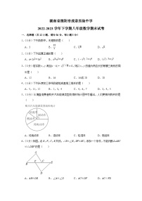 湖南省衡阳市成章实验中学2022-2023学年下学期八年级数学期末试卷（含答案）