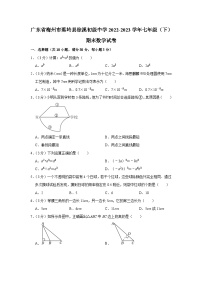 广东省梅州市蕉岭县徐溪初级中学2022-2023学年七年级下学期期末数学试卷（含答案）