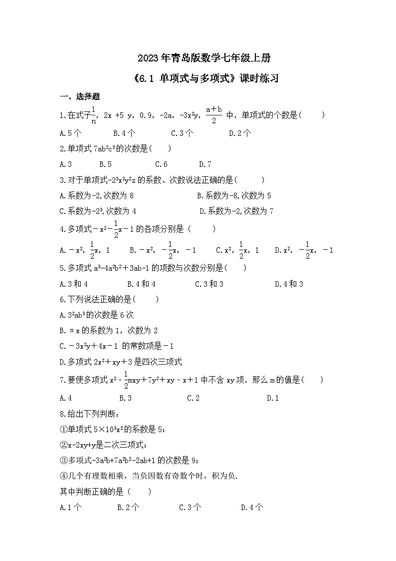 2023年青岛版数学七年级上册《6.1 单项式与多项式》课时练习（含答案）01