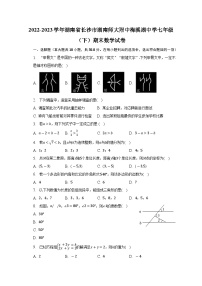 湖南省长沙市湖南师大附中梅溪湖中学2022-2023学年七年级下学期期末数学试卷（含答案）