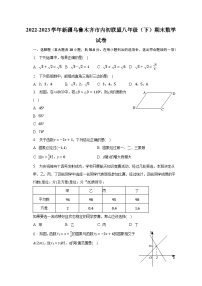 2022-2023学年新疆乌鲁木齐市内初联盟八年级（下）期末数学试卷（含解析）