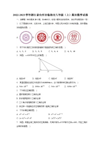 2022-2023学年浙江省台州市临海市八年级（上）期末数学试卷（含解析）