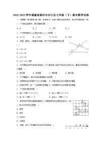 2022-2023学年福建省福州市台江区七年级（下）期末数学试卷（含解析）