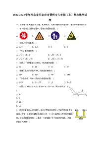 2022-2023学年河北省石家庄市晋州市八年级（上）期末数学试卷（含解析）