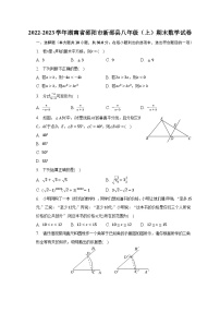 2022-2023学年湖南省邵阳市新邵县八年级（上）期末数学试卷（含解析）