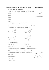 2022-2023学年广东省广州市番禺区八年级（上）期末数学试卷（含解析）