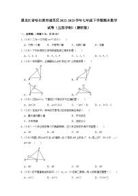 黑龙江省哈尔滨市道里区2022-2023学年七年级下学期期末数学试卷（五四学制）（含答案）