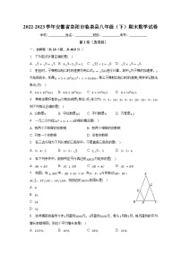 2022-2023学年安徽省阜阳市临泉县八年级（下）期末数学试卷（含解析）