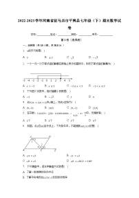 2022-2023学年河南省驻马店市平舆县七年级（下）期末数学试卷（含解析）