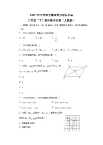 安徽省亳州市涡阳县部分学校2022-2023学年八年级（人教版）下学期期中考试数学试卷(含解析)