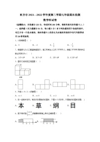 海南省东方市2021-2022学年七年级下学期期末考试数学试卷(含解析)