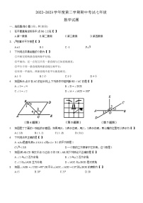 河南省漯河市临颍县2022-2023学年七年级下学期期中考试数学试卷(含答案)