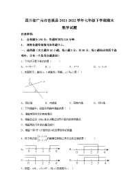 四川省广元市苍溪县2021-2022学年七年级下学期期末学业水平质量监测数学试卷(含解析)