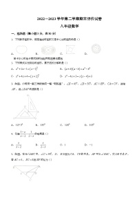 河南省平顶山市宝丰县2022-2023学年八年级下学期期末数学试题（含答案）