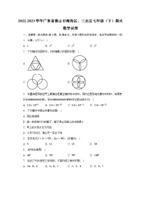 2022-2023学年广东省佛山市南海区、三水区七年级（下）期末数学试卷（含解析）