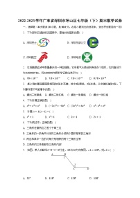 2022-2023学年广东省深圳市坪山区七年级（下）期末数学试卷（含解析）