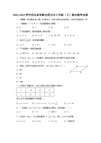 2022-2023学年河北省邯郸市武安市八年级（下）期末数学试卷（含解析）