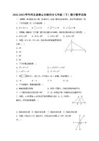 2022-2023学年河北省唐山市滦州市七年级（下）期中数学试卷（含解析）