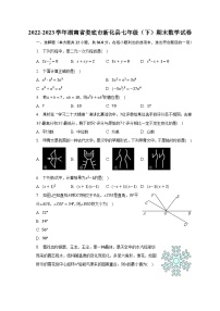 2022-2023学年湖南省娄底市新化县七年级（下）期末数学试卷（含解析）