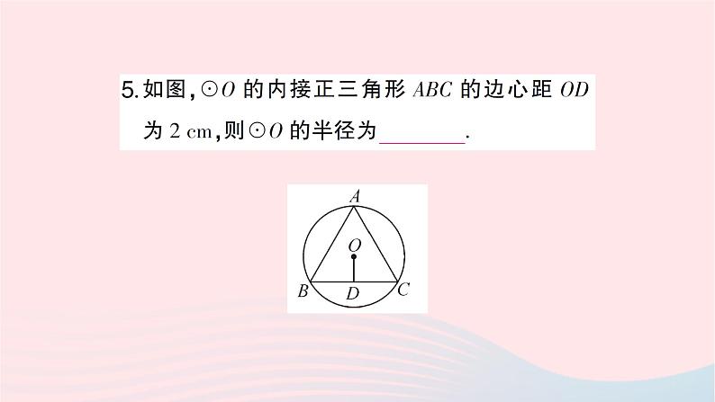 2023九年级数学下册第24章圆24.6正多边形与圆第2课时正多边形的性质作业课件新版沪科版06