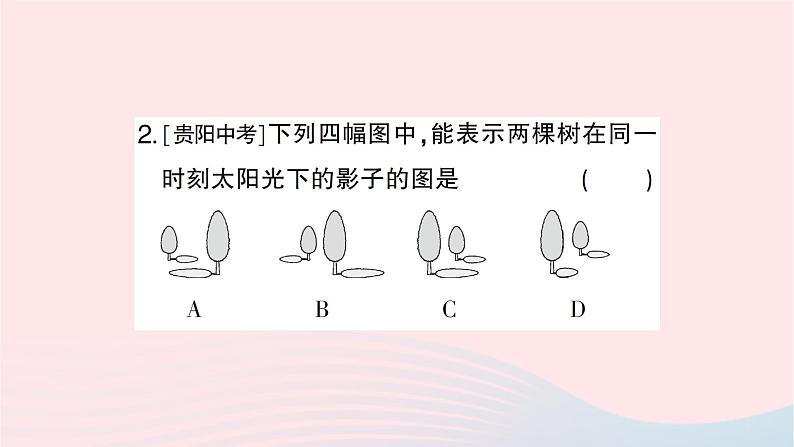 2023九年级数学下册第25章投影与视图25.1投影第1课时平行投影与中心投影作业课件新版沪科版03