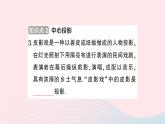 2023九年级数学下册第25章投影与视图25.1投影第1课时平行投影与中心投影作业课件新版沪科版