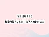 2023九年级数学下册第26章概率初步专题训练七概率与代数几何跨学科知识的综合作业课件新版沪科版